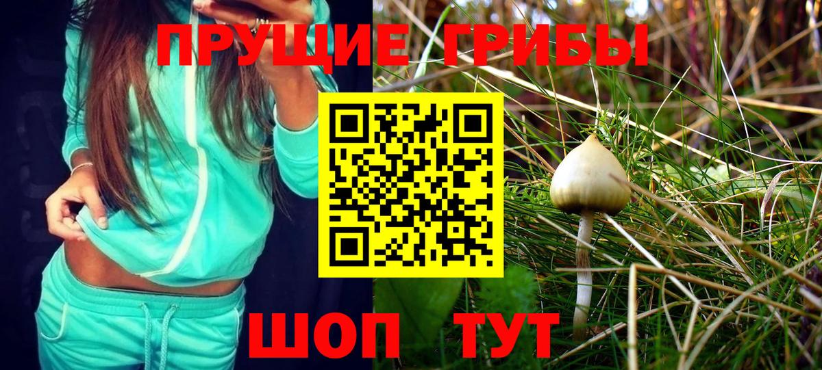 Псилоцибиновые грибы мицелий Электросталь